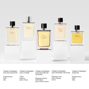 Terre d'Hermès - Parfum und seine Nachfüllung Terre d'Hermès - Parfum und seine Nachfüllung